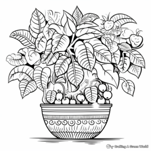 Tropical Rainforest Coffee Plant Coloring Pages 2