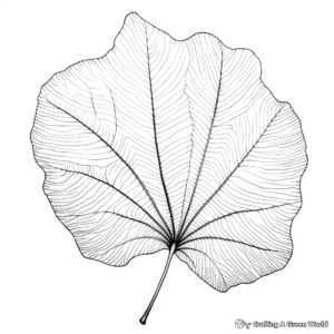 Unique Ginkgo Leaf Fall Coloring Pages 1