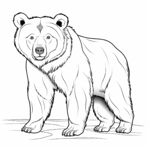 Very Realistic Grizzly Bear Coloring Sheets 1