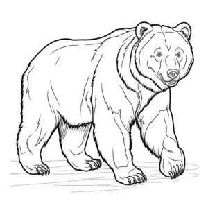 Very Realistic Grizzly Bear Coloring Sheets 3