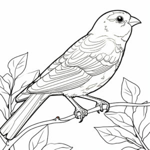 Vibrant American Goldfinch in Summer Coloring Pages 4