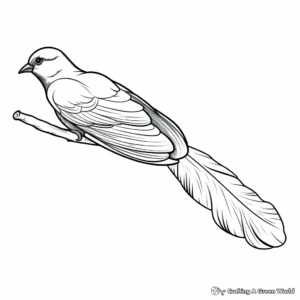 Vibrant Blue Jay Feather Coloring Pages 4