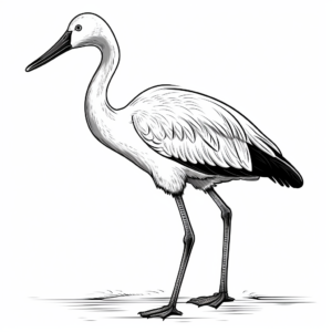 Vibrant Greater Flamingo Coloring Pages 4