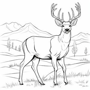 Vibrant Mule Deer Buck Coloring Pages 2