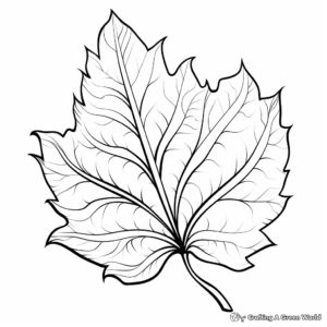 Vibrant Sycamore Leaf Coloring Pages 2