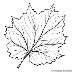 Vibrant Sycamore Leaf Coloring Pages 4