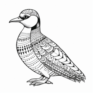 Vivid Colored Loon Coloring Pages to Print 4