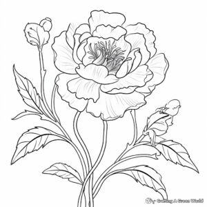 Watercolor Peony Printable Coloring Pages 2
