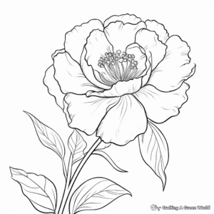 Watercolor Peony Printable Coloring Pages 3