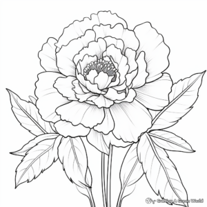 Watercolor Peony Printable Coloring Pages 4
