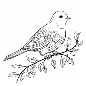Whimsical Dove with Olive Branch Coloring Pages 1