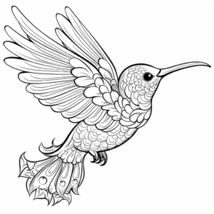 Whimsical Hummingbird Coloring Pages: Elegant and Detailed 2