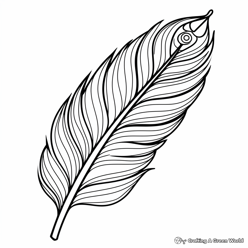 Whimsical Peacock Feather Coloring Pages 4