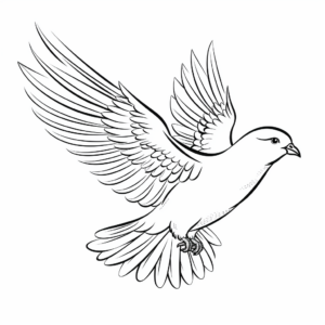 White Dove Symbolizing Peace Coloring Pages 2