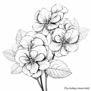 White Hydrangea Coloring Pages for Adults 2