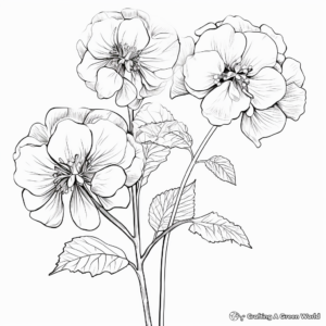 White Hydrangea Coloring Pages for Adults 3