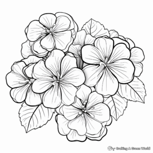 White Hydrangea Coloring Pages for Adults 4