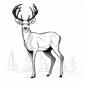 Whitetail Deer Antler Coloring Pages in Winter Setting 1