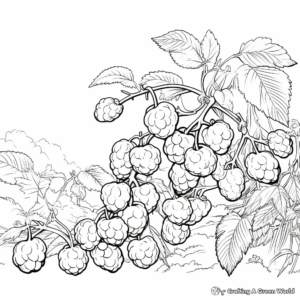 Wild Raspberry Bush Coloring Pages 3