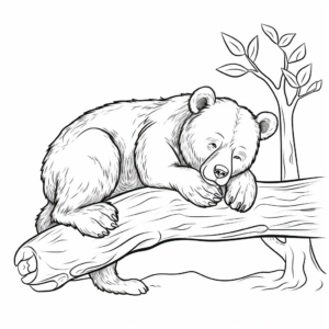 Wild Sleeping Brown Bear Coloring Pages 1