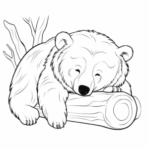 Wild Sleeping Brown Bear Coloring Pages 3