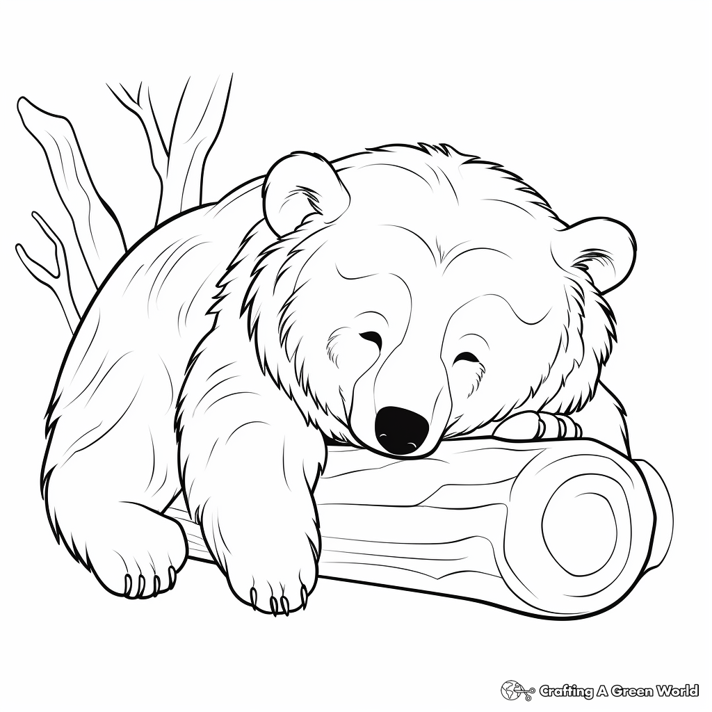 Wild Sleeping Brown Bear Coloring Pages 3