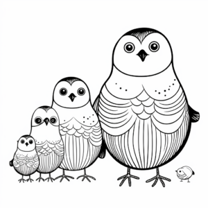 Winter Birds Family Coloring Pages: Male, Female, and Chicks 3