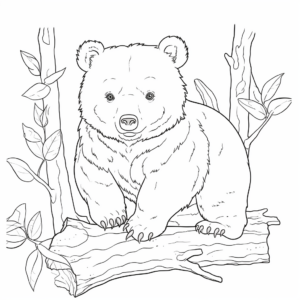 Wombat with Australian Flora and Fauna Coloring Pages 1