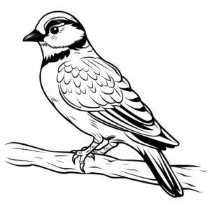 Woodpecker Winter Wonder Coloring Pages 2