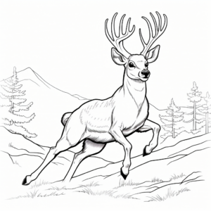Young Buck Leaping Coloring Pages 2