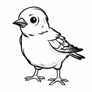 Young Sparrow Chick Coloring Pages for Children 1
