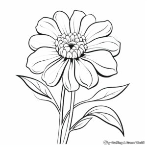 Zinnia Variety Coloring Pages: Different Types of Zinnias 2