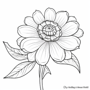 Zinnia Variety Coloring Pages: Different Types of Zinnias 3